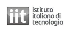 Istituto Italiano Di Tecnologia
